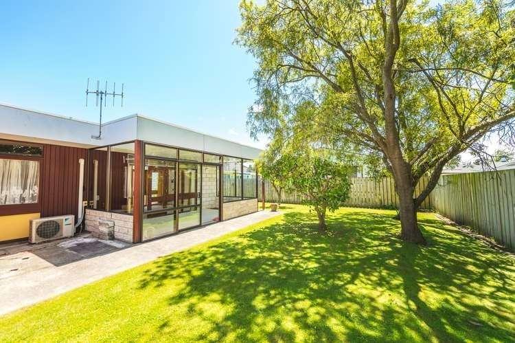 55A Jellicoe Street 1236_16