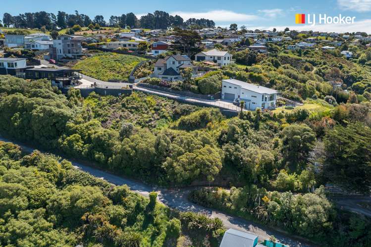 2l Clayton Street Saint Clair_7