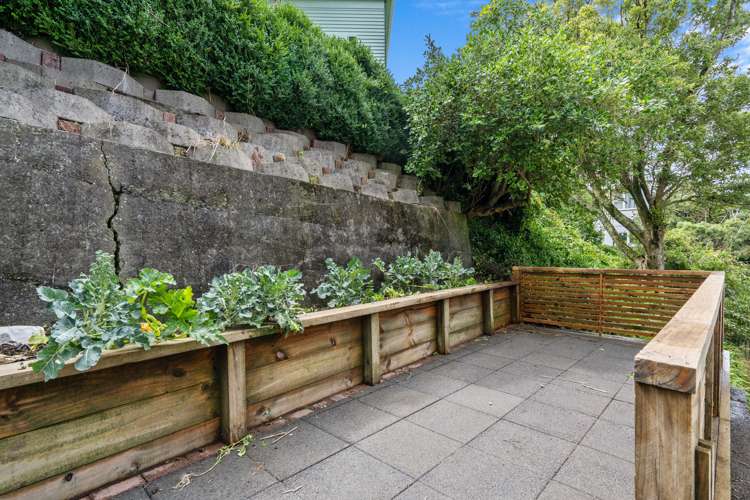 25 Mccoll Street Vogeltown_8
