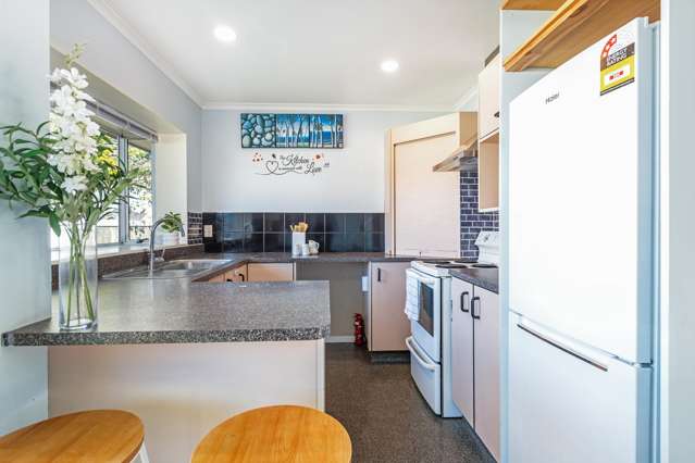 509 Featherston Street Roslyn_3