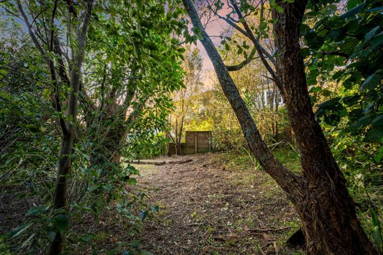 26 Westmere Crescent Westmere_20