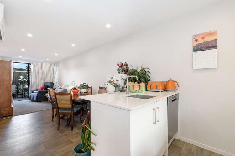 18/1460 Cameron Road_3