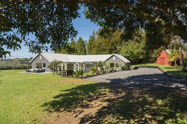 409a Esdaile Road Whakamarama_3