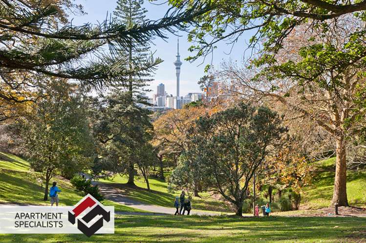 31 Scanlan Street Grey Lynn_17