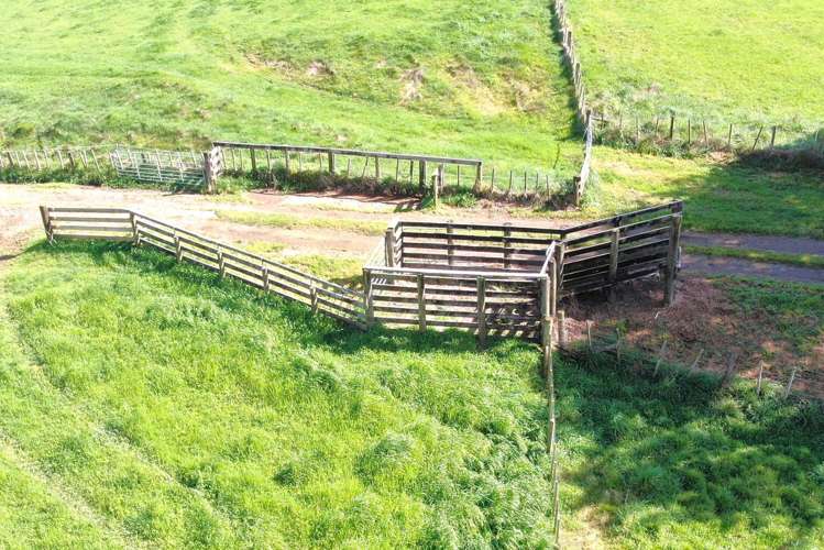 48 Barber Road Otewa_11