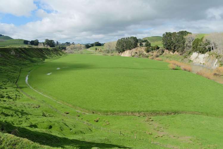 63 Hamilton Road Dannevirke_23