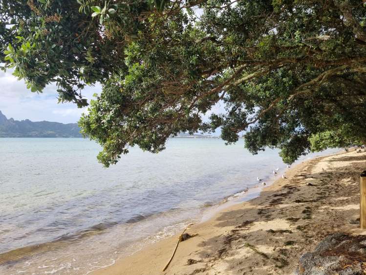 160b One Tree Point Road One Tree Point_23