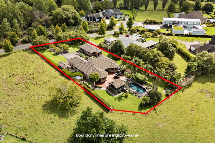 16 Lynwood Grove Dairy Flat_52