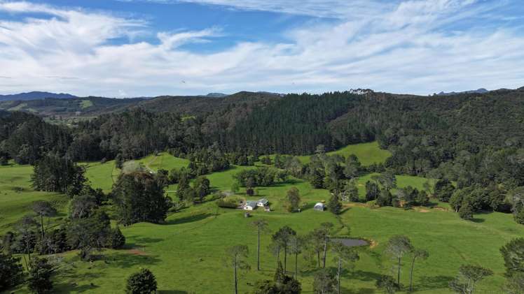 140 Kenana Road Mangonui Surrounds_42