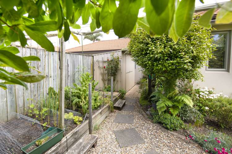 27b Pembroke Street Taradale_19