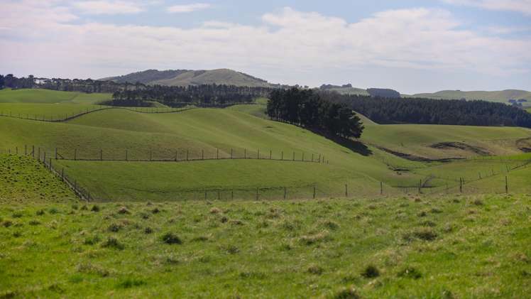 137 McLeods Road Palmerston_30