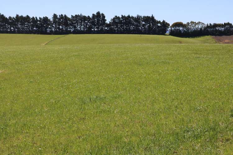 878 Downs Road Edendale_19