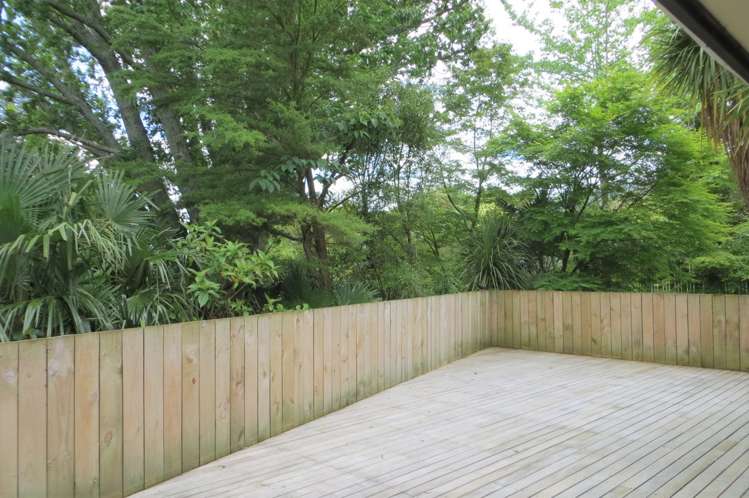 265 Whitaker Street Te Aroha_25