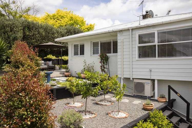 29 Maxine Place Saint Heliers_4