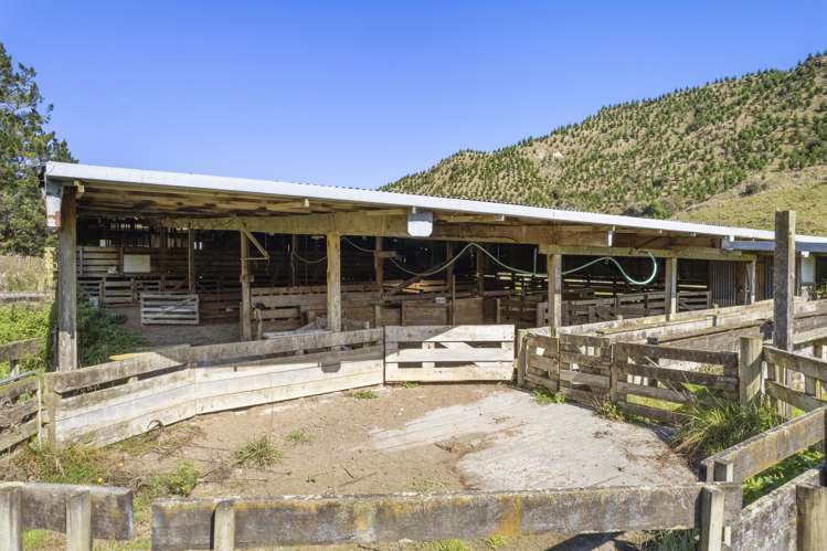 2560 Rawhitiroa Road Eltham_42