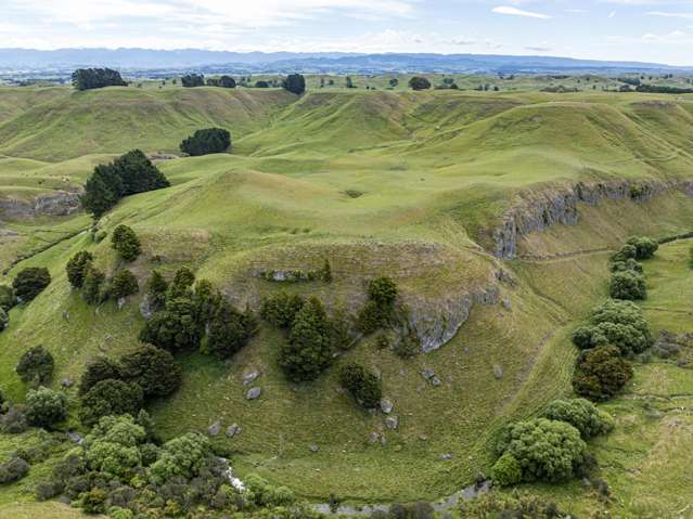 1522 Argyll Road Central Hawkes Bay Country_2