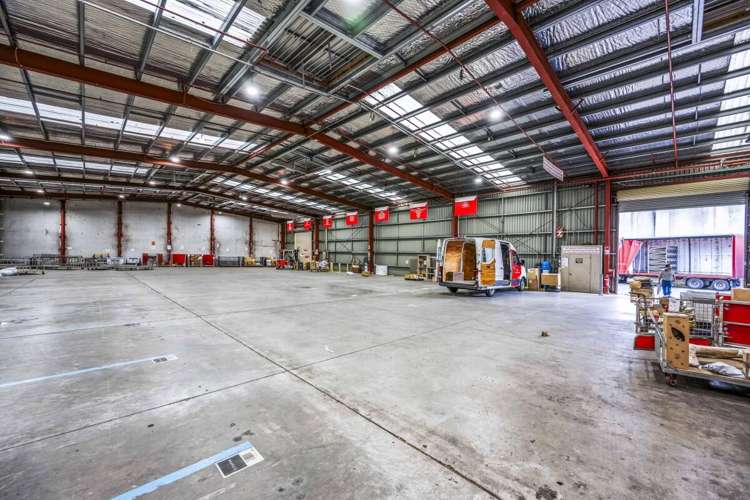 6 Tawa Drive Albany_6