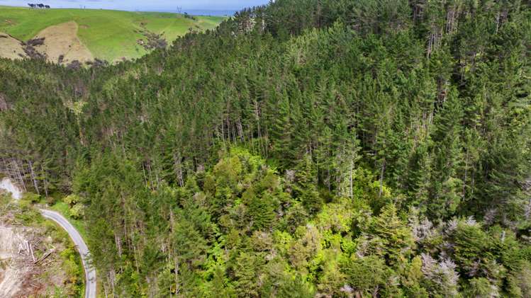 Lot 6 Tangahoe Valley Road Ohangai_4
