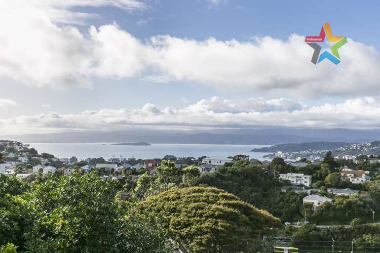 47 Ponsonby Road Karori_16