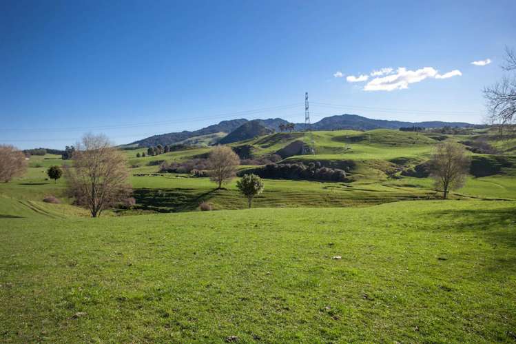 772 Oreipunga Road Cambridge_11