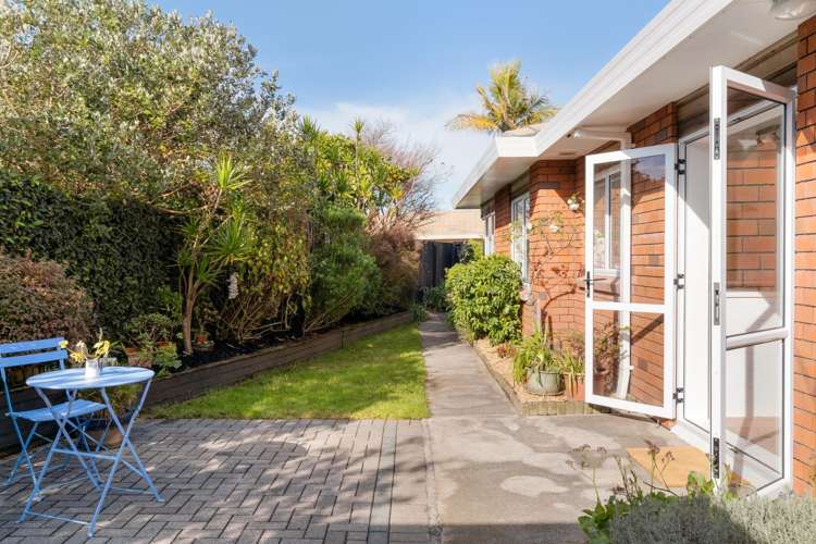 55 Bayfair Drive Mount Maunganui_14