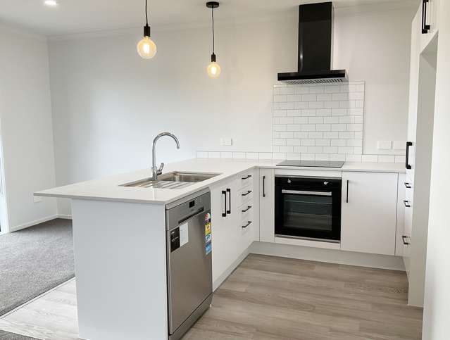 Unit 6, 5 Arawa Street Frankton_1