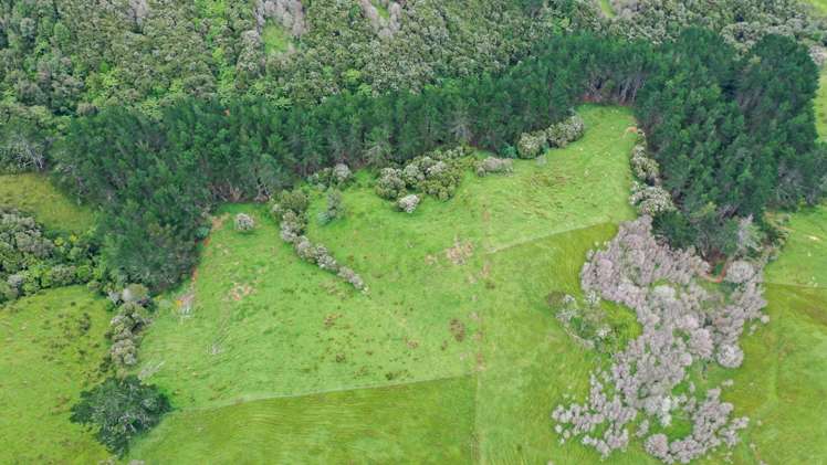 944 Waiti Road Tahuna_11