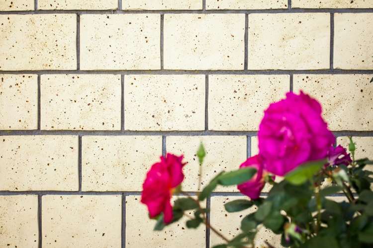 128 Grant Road Opotiki and Surrounds_5