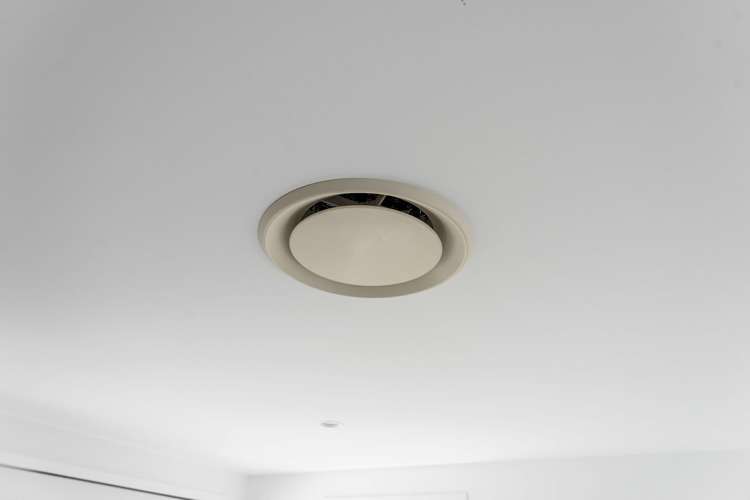 11 Hinaki Street Poike_26