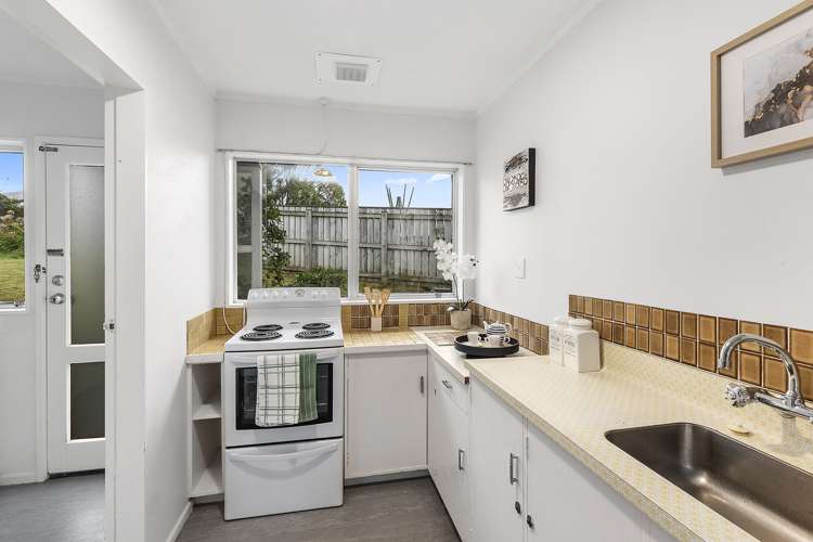 3b Virginia Grove Brooklyn_6