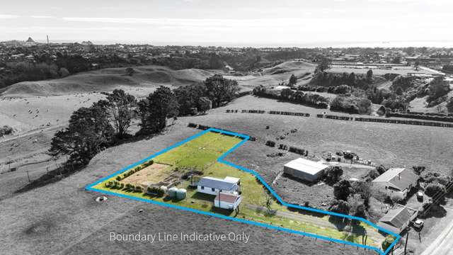 382 Smart Road Hillsborough_2
