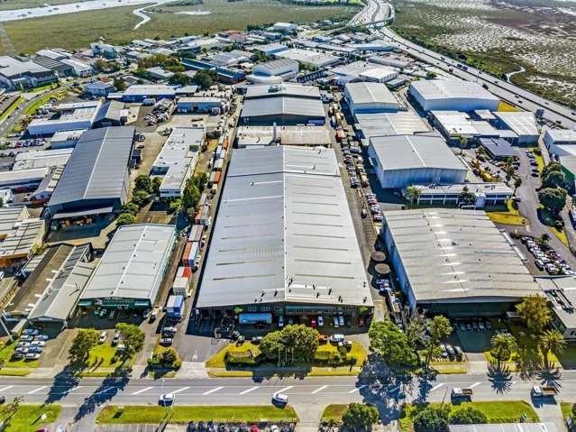 670 Rosebank Road Avondale_4