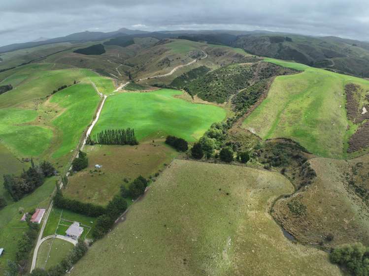 58 McElwee Road, Meadowbanki Palmerston_10