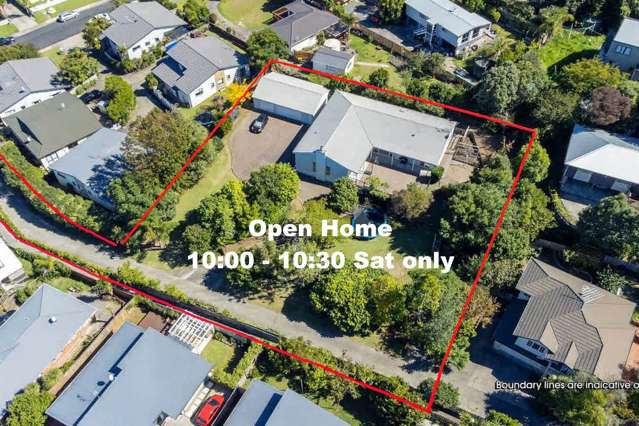 HUGE Single-Level Home, HUGE Section – Great Value