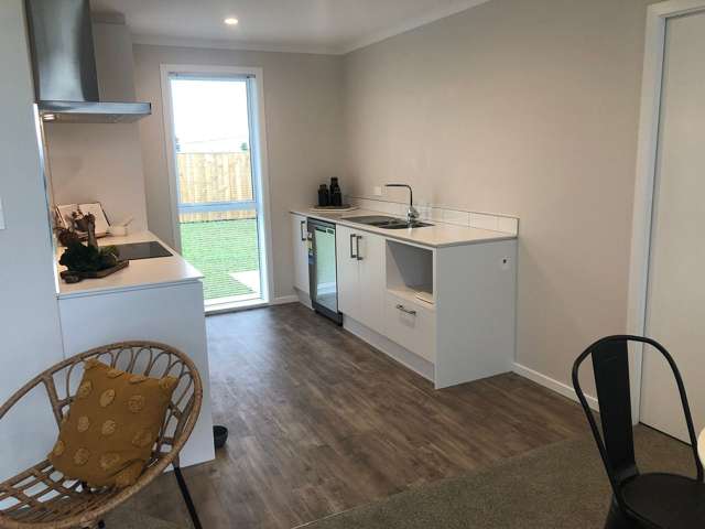 89 Hinemoa Street Levin_4