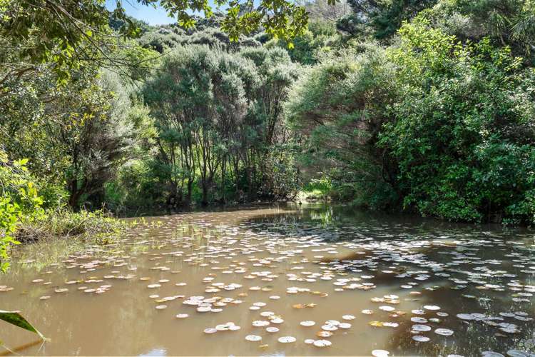 854 Matapouri Road Matapouri_18