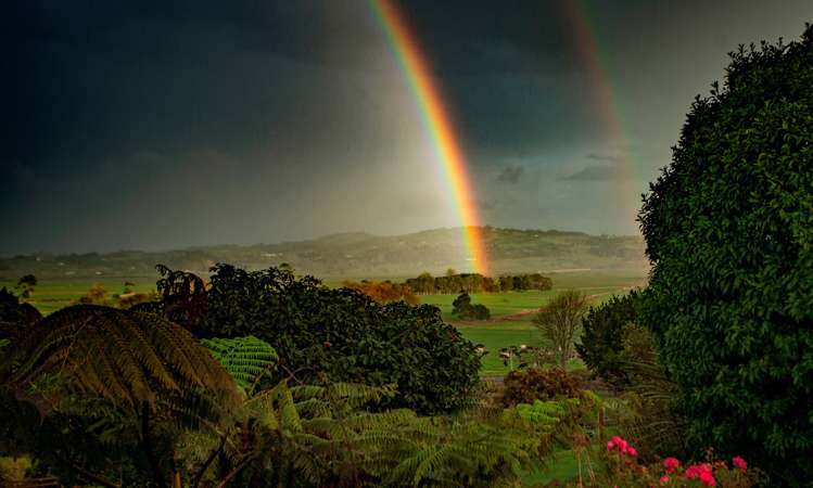 254a Crane Road Kauri_27