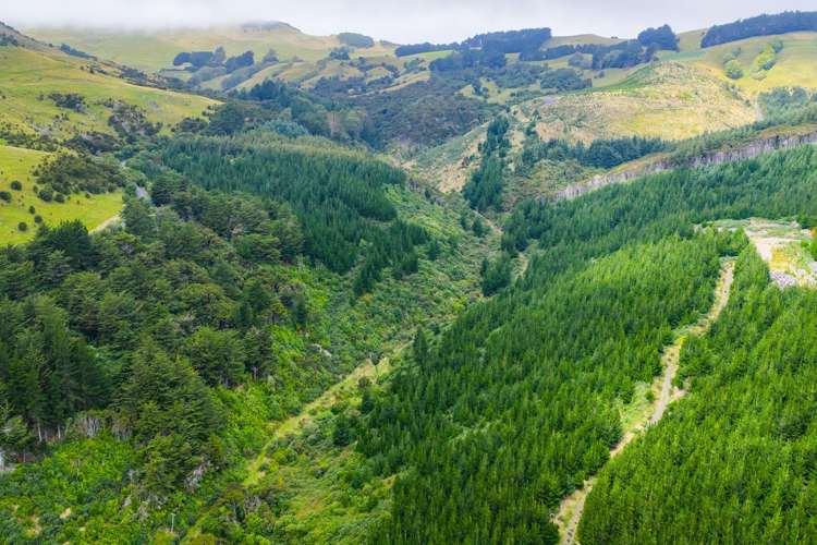 226 Middle Road Pigeon Bay_8