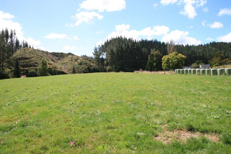 698 Mangaoapa Road Matau_15