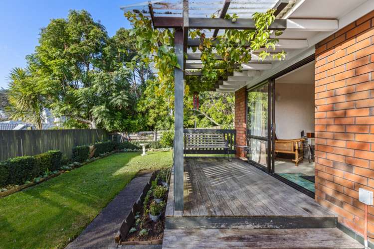 14l Cradock Street Avondale_9