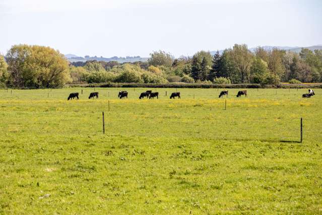 Broomfield Road Woodville_1