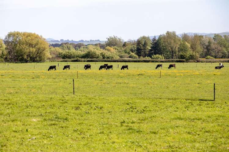 Broomfield Road Woodville_1