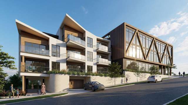 427 Dominion Road Mount Eden_2