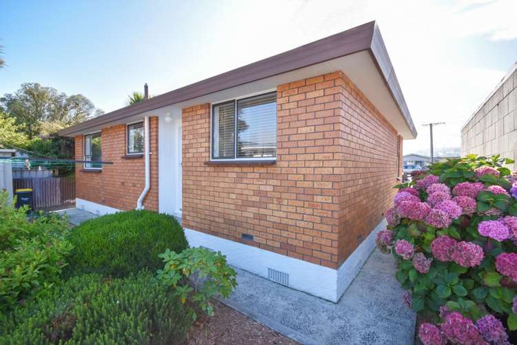 143b Macandrew Road South Dunedin_17