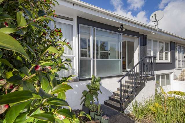 2/71 Mount Smart Road Onehunga_1