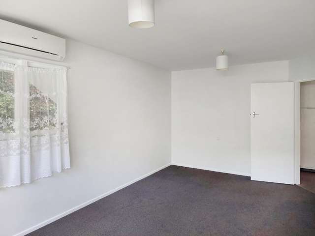 1/29 Waiapu Road 1287_2