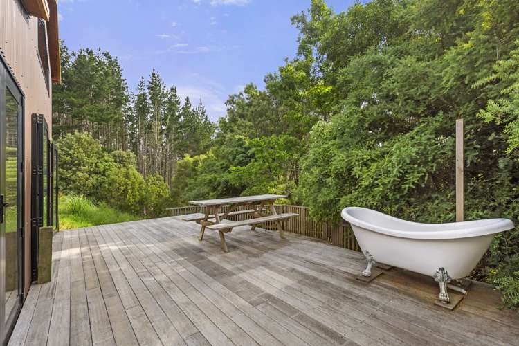 843 Old Mountain Road Raglan_14