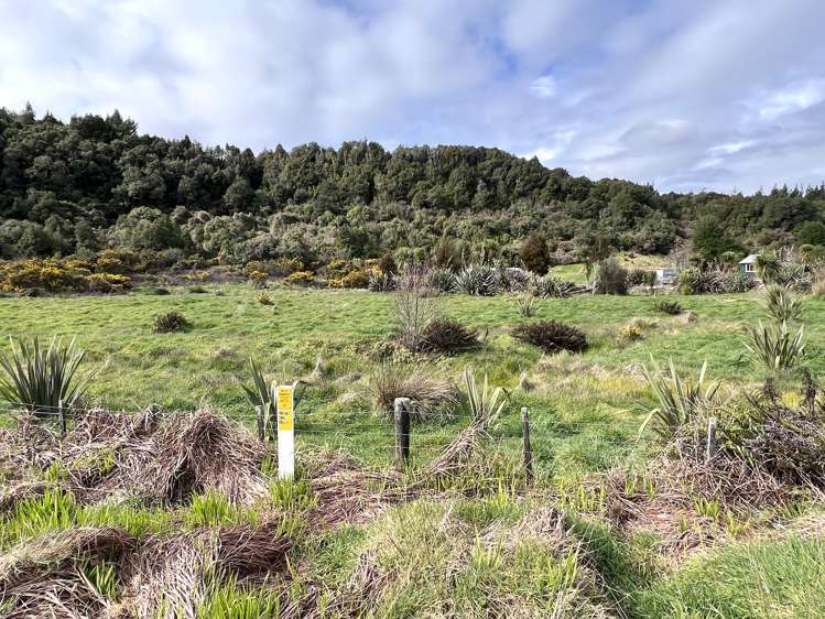 Stafford Loop Road Hokitika_5