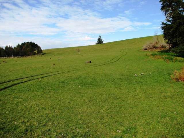 Maewa Road Feilding_3