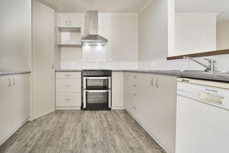703A Whitehead Road_4